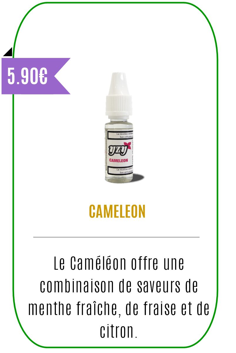 Eliquide mentholé Cameleon 10ml -YZY-