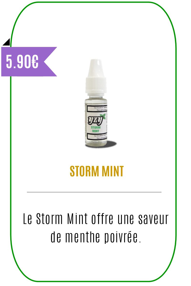 Eliquide mentholé Storm Mint 10ml-YZY-